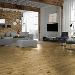 stamex_flooring.platinum mars.mamre oak 4909.ac4.10.2